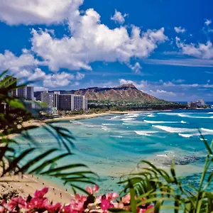  Apartment Ocean View Escape, Steps To & Free Parking! United States